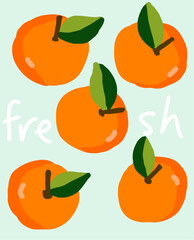 Fresh Hand-Drawn Oranges Illustration art