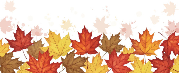 Vibrant Autumn Maple Leaves Border on White Background, Seasonal Fall Foliage Design