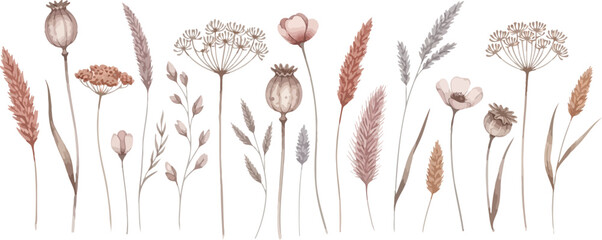 Watercolor Dried Wildflower and Grasses Arrangement for Boho Botanical Design