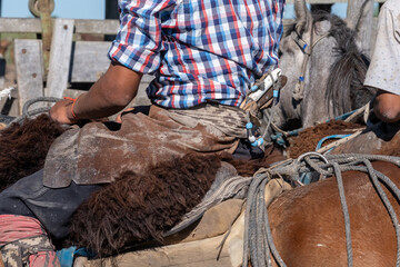 A rider in a plaid shirt and traditional gear sits on horseback. Details include a leather guardamonte, fur saddle padding, and ropes on a rustic ranch.