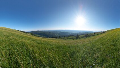 Fototapeta premium Stunning panoramic view of vibrant green rolling hills under a brilliant summer sun and clear blue sky