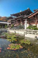 Wooden pagoda style building which is the Chi Lin Nunnery, on lake with koi fish, Chi Lin Botanical Garden, Nan Lian Garden, Hong Kong, China, Asia.