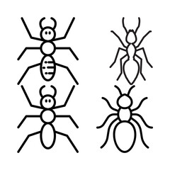 vector illustration of a spider