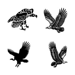 Flying Vulture