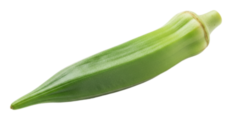 Harvesting fresh okra pods farm field food nature isolated on transparent background