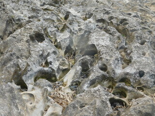 texture of limestone river bank