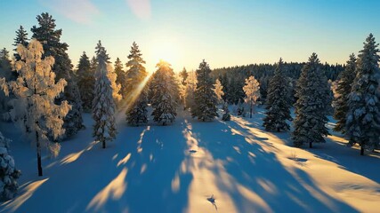 Snow-covered forest landscape with evergreen trees and sun shining through at sunrise or sunset with warm colors and long shadows on the ground. - Powered by Adobe