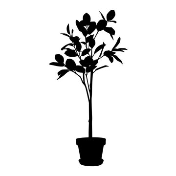 Houseplant silhouette vector illustration, black plant pot silhouette isolated on white background, flower pot silhouette