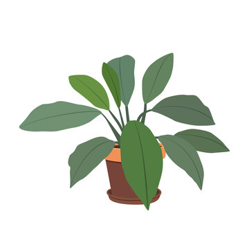 Illustration flower in a pot isolated on a white background. Interior item for comfort.