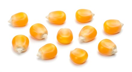 Scattered dry corn kernels isolated on a white background, useful for agriculture or food concepts