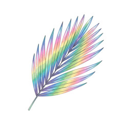 Watercolor Rainbow Palm Frond isolated on a transparent background