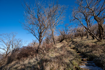 Climbing Mount Tonodake and Tanzawa, Kanagawa, Japan