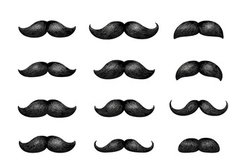 Collection of various mustache styles arranged in a grid pattern for design ideas and inspiration for facial hair fashion