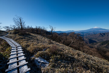 Climbing Mount Tonodake and Tanzawa, Kanagawa, Japan
