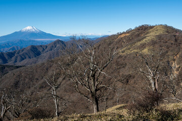 Climbing Mount Tonodake and Tanzawa, Kanagawa, Japan