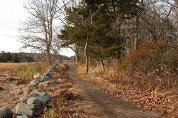 That Rocky Trail, Rye, New Hampshire