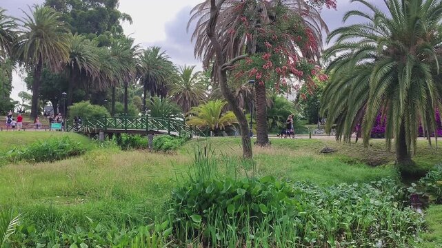 Video showing people and wetland with diverse trees under a partly cloudy sky, located in Parque Rodo park, Montevideo, Uruguay.