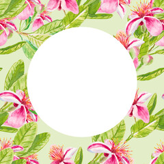 Fototapeta premium Feijoa pink flowers. Square template for invitation, greeting card, label, banner with place for text with feijoa leaves, buds, flowers. Watercolor hand drawn illustration with copy space