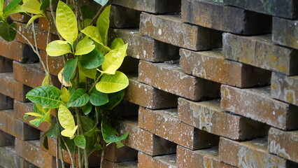 Brick wall with recessed layered pattern, green and yellow leaves emerging from side, blending natural growth with industrial structure.