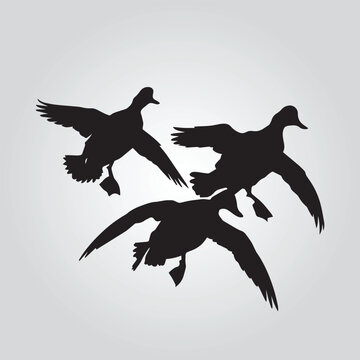 mallard flying Duck Hunting vector design silhouette modern logo Decal 