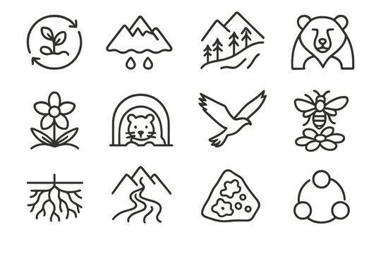 Mountain Ecology Icons. Mountain Environmental Web linear set: nutrient cycle icon, meltwater source, slope vegetation band, keystone species symbol, flowering alpine plant, small