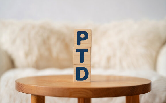 PTD Project To Date Acronym on Stacked Wooden Blocks