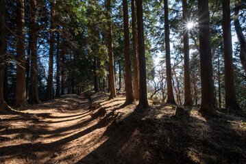 Climbing Mount Tonodake and Tanzawa, Kanagawa, Japan