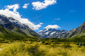 Obraz premium Snowy mountains and golden valley trail - Majestic snow-covered mountain range above a golden grassy valley under clear skies, ideal for hiking and scenic views