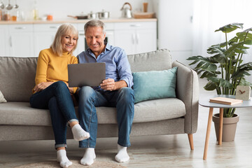 A happy couple sits closely together on a sofa, smiling as they look at a laptop in their cozy living room. Sunlight fills the space, bringing warmth to their moment.