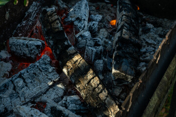 Charred firewood glowing with red embers and white ash in open flame during outdoor burning. The quiet transformation of matter as wood turns to flame ash and ember in elemental cycle of fire.