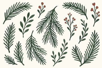 Botanical branches set natural decorative foliage in soft hand drawn style. Includes pine needles, berries, leaves