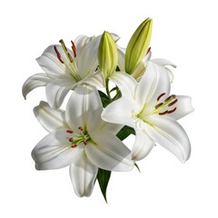 Fototapeta premium bouquet of lilies