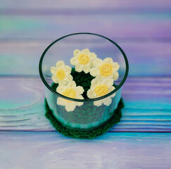 Crochet Meadow in Glass Jar Handmade Green Field with Daisies