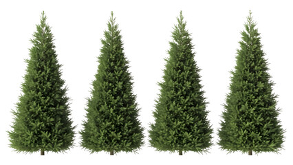 Fototapeta premium Four realistic pine trees isolated elements for winter holiday decorations and seasonal design isolated on transparent background