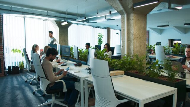 Busy employees working at desks in spacy workspace. Coding on monitors while others checking tablets and typing. Male walking beside row of desks. Office filled with plants and bright light.