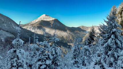 Wintery landscape with blue sky, snow-covered trees and in the background the summit of the &Ouml;tscher mountain in Styria, Austria