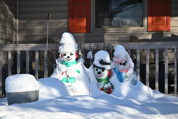 Snowmen Covered with Snow