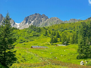 Chalets among the lush French mountain landscape in summer