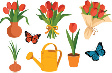 Colorful tulip flower illustration set with bouquets, potted plants, butterflies, watering can, and garden bulb in a flat floral design