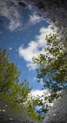 Reflections of a vibrant blue sky with fluffy white clouds and lush green trees in a clear puddle on the ground.
