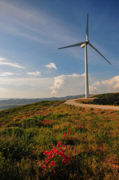 Imagen veertical de molino de parque e&oacute;lico, con amapolas rojas en primer t&eacute;rmino