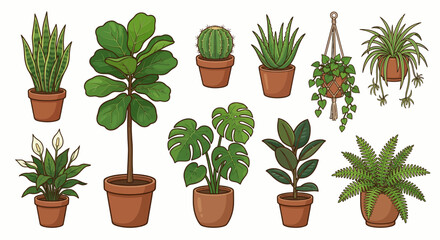 Diverse Indoor Houseplants Collection Cartoon Vector Set