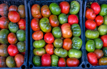 Fresh red and green tomatoes arranged in crate.