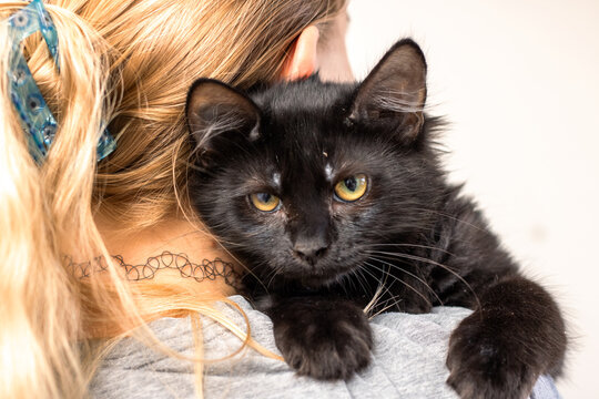 Volunteer bonds with feline, Woman embraces small black cat in cozy shelter environment