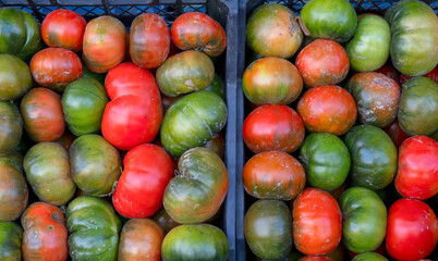 Organic mixed ripe and green tomatoes at farmers market.