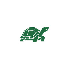 Geometric Turtle Logo Design in Minimal Modern Style for Nature, Wildlife, Conservation, and Eco Branding