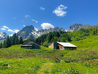 Houses Among a French alpine meadow in the Summer