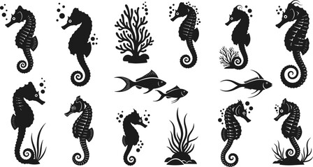 Collection of black silhouette seahorses fish and coral on white background underwater © Ambia Art
