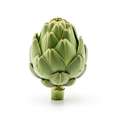 Fototapeta premium Isolated image of a green artichoke on white background, showing its scaled texture and compact form, representing freshness, nature, and healthy eating