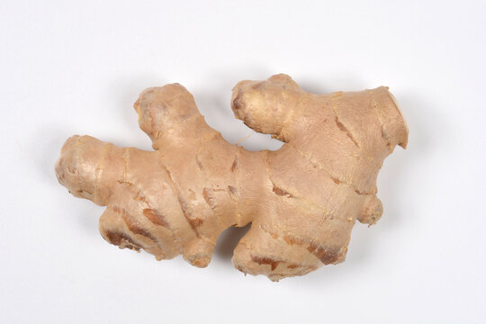An overhead shot of a single, whole piece of fresh, unpeeled ginger root with a rough texture, isolated against a plain white background